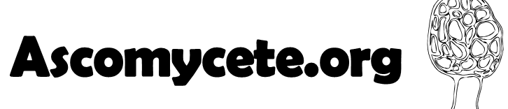 Ascomycete.org logo