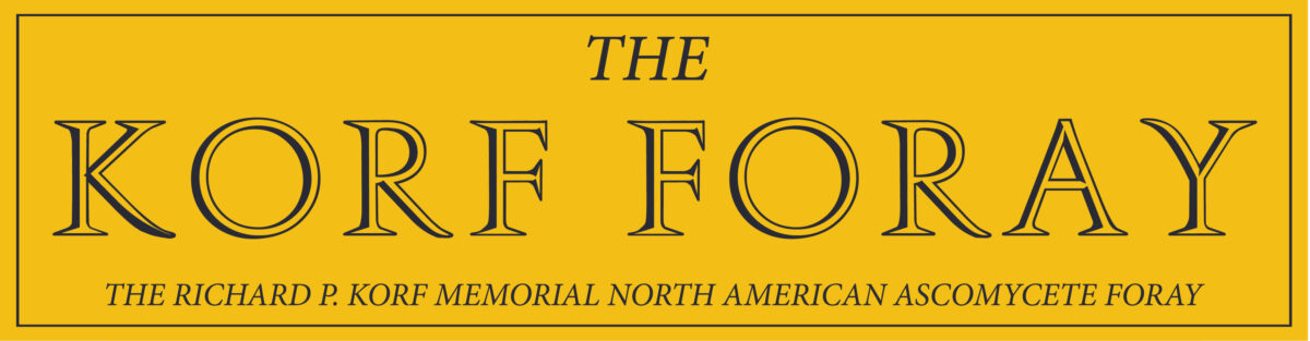 The Korf Foray Bumper Sticker