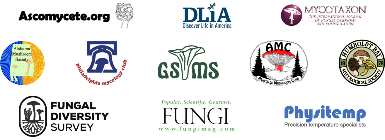 Sponsor logos