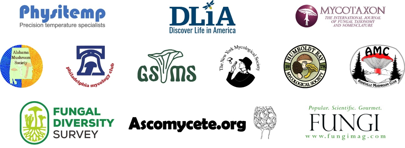 Sponsor logos